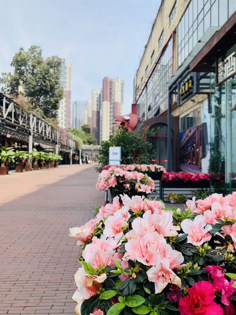 尊龙凯时 - 人生就是搏!