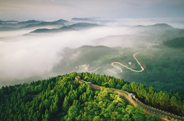 尊龙凯时 - 人生就是搏!