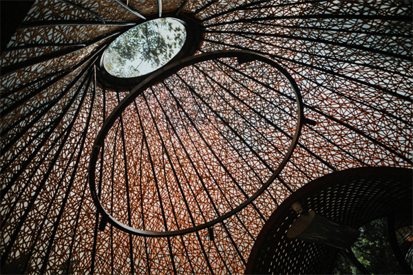 尊龙凯时 - 人生就是搏!